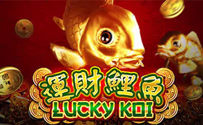 Cá Koi May Mắn