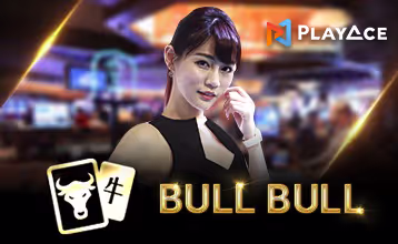 Bull Bull