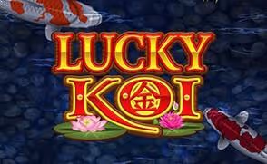Cá Koi May Mắn